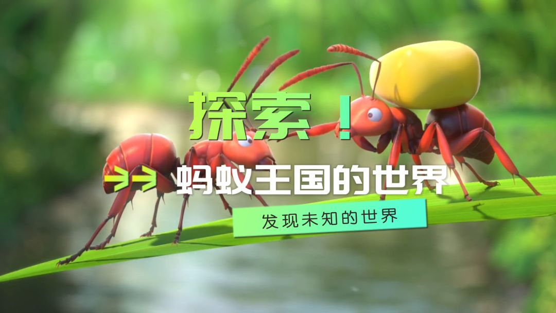 探索！蚂蚁王国的世界#模拟经营#建造截图