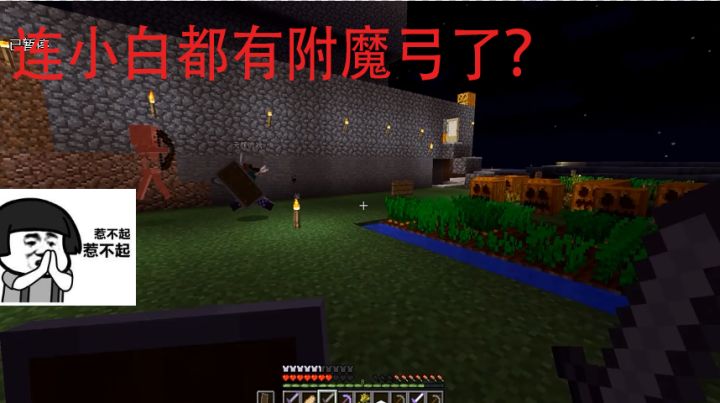 我的世界：大晚上跟伙伴农场打猎人，还有一个拿着附魔过弓的小白截图