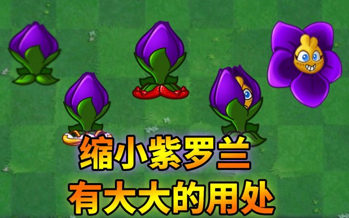 pvz2：缩小紫罗兰知多少？截图
