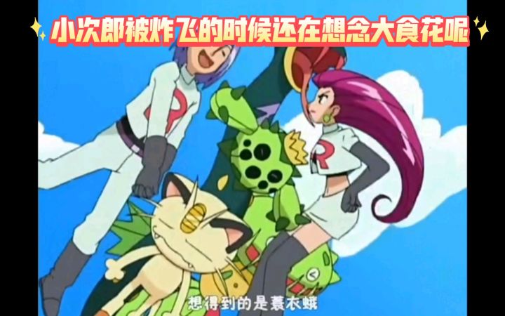 精灵宝可梦 小次郎被炸飞的时候还在想念大食花呢截图