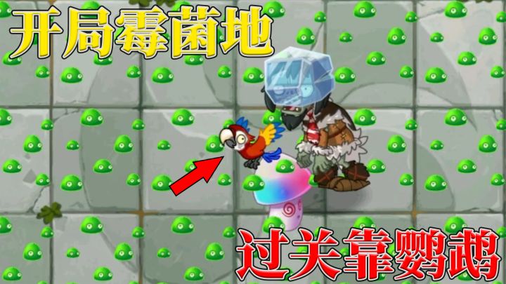 植物大战僵尸2：在自制关卡中，学会操控僵尸顺利通关！截图