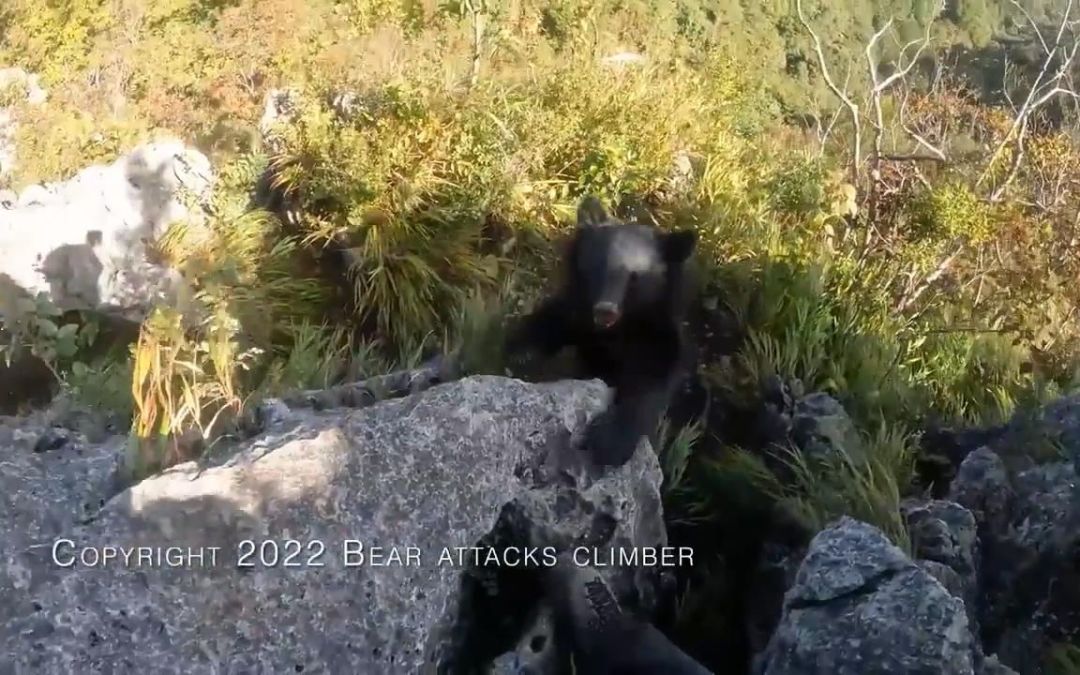 video-3048302