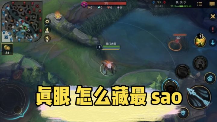 英雄联盟手游：真眼 藏的好，上分没烦恼～截图