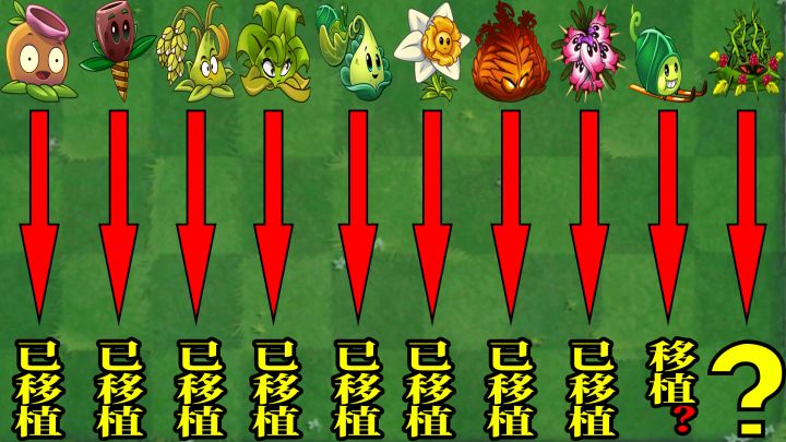 植物大战僵尸：盘点国际版独占植物，谁会是下一个被移植的？截图