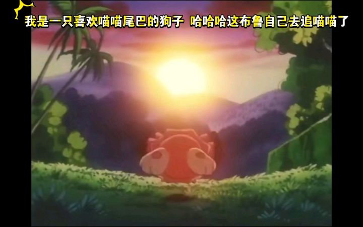 精灵宝可梦 我是一只喜欢喵喵尾巴的狗子 哈哈哈这布鲁自己去追喵喵了截图