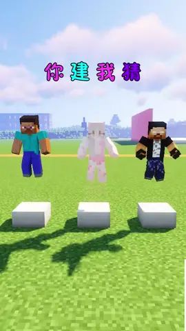 阿青作为嘉宾的最后一期截图