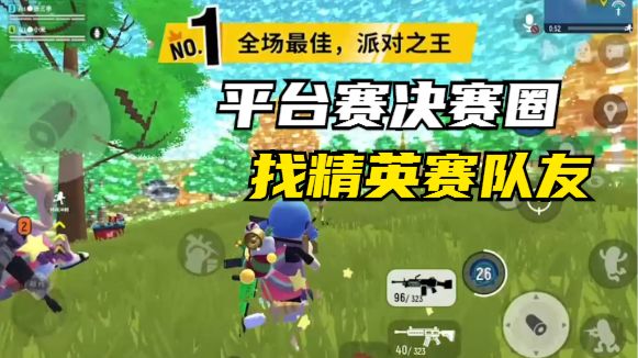 平台赛决赛圈找精英赛队友截图