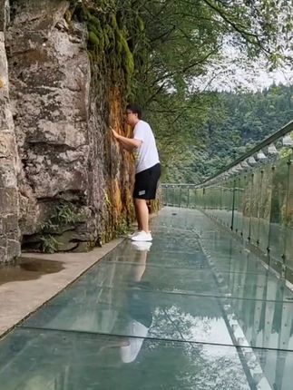 video-3557474
