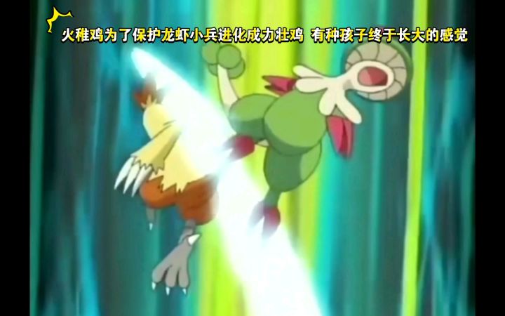 精灵宝可梦 火稚鸡为了保护龙虾小兵进化成力壮鸡 有种孩子终于长大的感觉截图