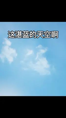 #一个十分帅气的 滋  滋他脸 滋他一身截图