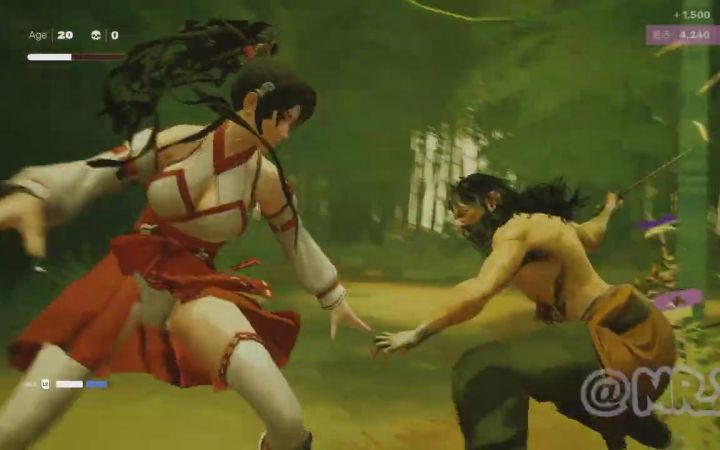 《师父SIFU》X《死或生》MOD 是师父也是红叶小姐姐截图