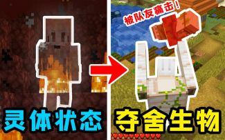 我的世界：死亡才是游戏的开始？化身灵魂状态，夺舍各种生物！