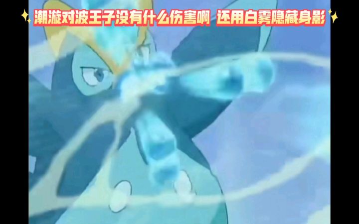 精灵宝可梦 潮漩对波王子没有什么伤害啊 还用白雾隐藏身影截图