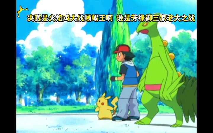 精灵宝可梦 决赛是火焰鸡大战蜥蜴王啊 谁是芳缘御三家老大之战截图