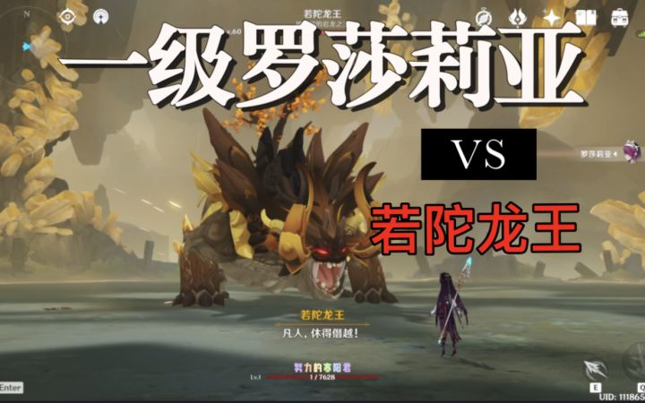 【原神】一级罗莎莉亚无伤若陀龙王截图