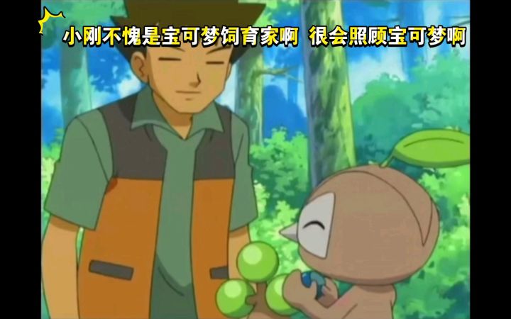 精灵宝可梦 小刚不愧是宝可梦饲育家啊 很会照顾宝可梦啊截图