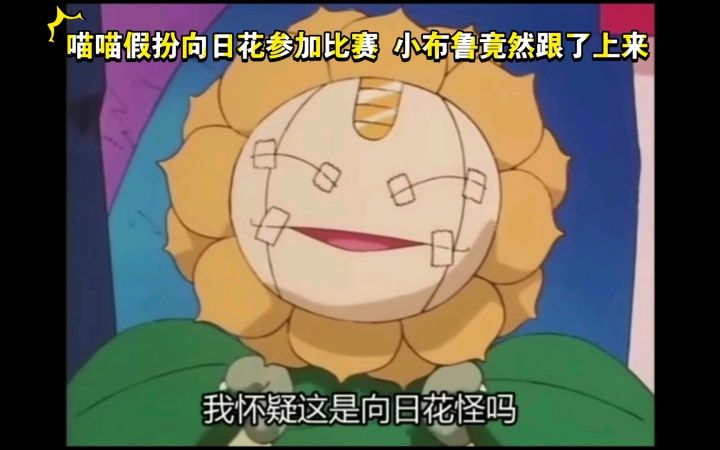 精灵宝可梦 喵喵假扮向日花参加比赛 小布鲁竟然跟了上来截图