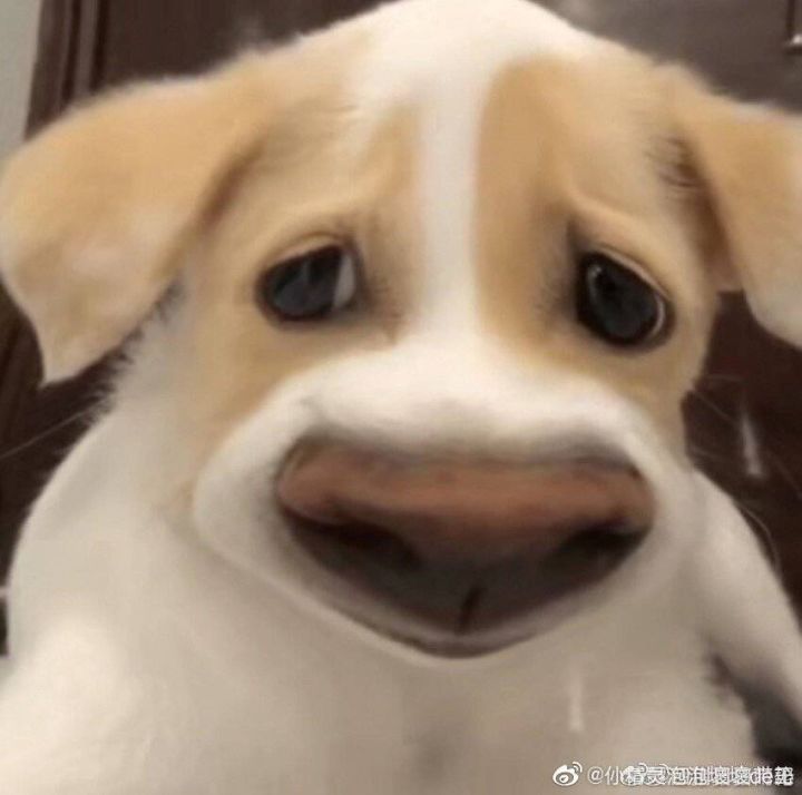 破自己记录了，纪念一下截图