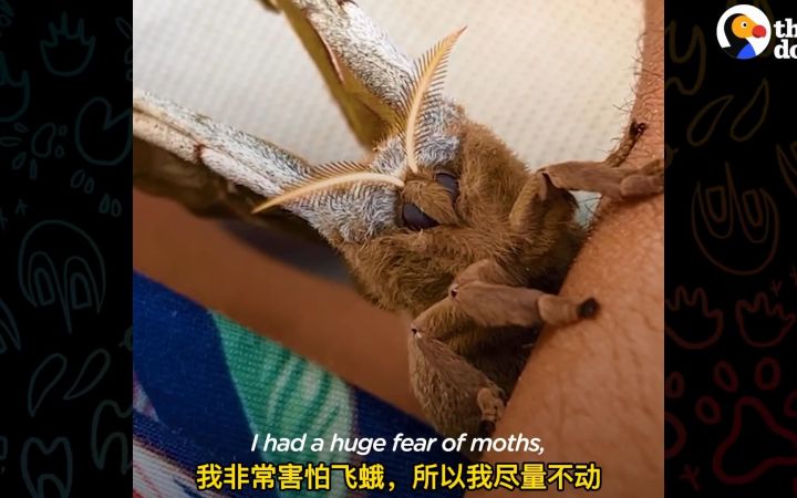 帮蛾子养孩子是什么体验...截图