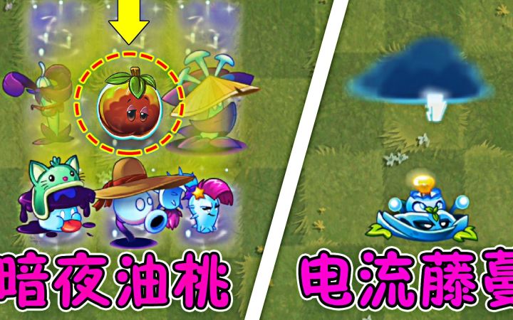 植物大战僵尸:暗夜油桃和电能藤蔓,好不好用?截图