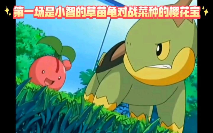 精灵宝可梦 第一场是小智的草苗龟对战菜种的樱花宝截图