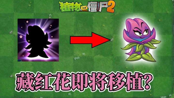 植物大战僵尸:藏红花即将移植中文版,小萨的脸又肿了!截图