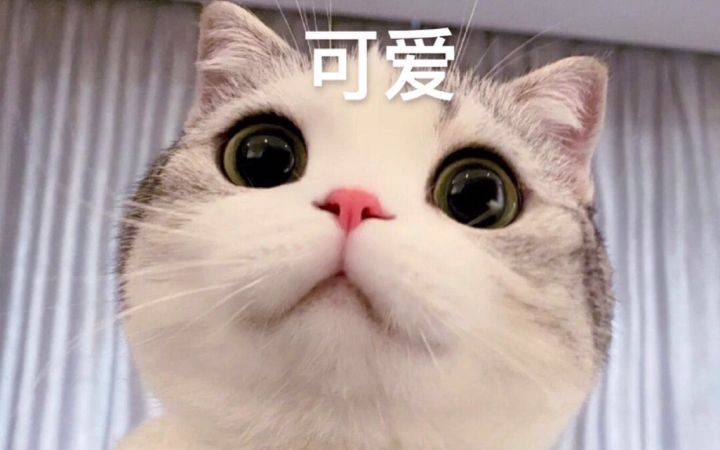 铁公鸡大佬的日常深渊截图