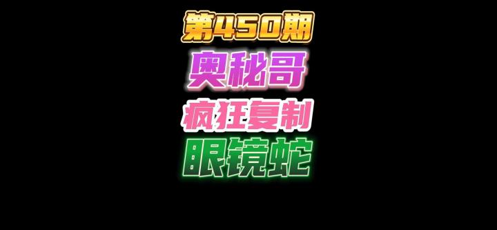 第450期:奥秘哥受害者的怨灵拿到一只眼镜蛇,裂魂残像配合卡德加疯狂复制眼镜蛇截图