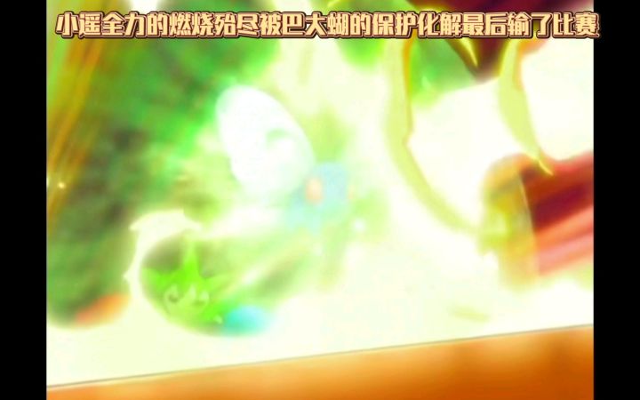 精灵宝可梦 小遥全力的燃烧殆尽被巴大蝴的保护化解最后输了比赛截图