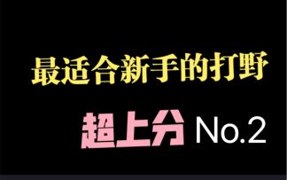 超上分！最适合新手的【打野】