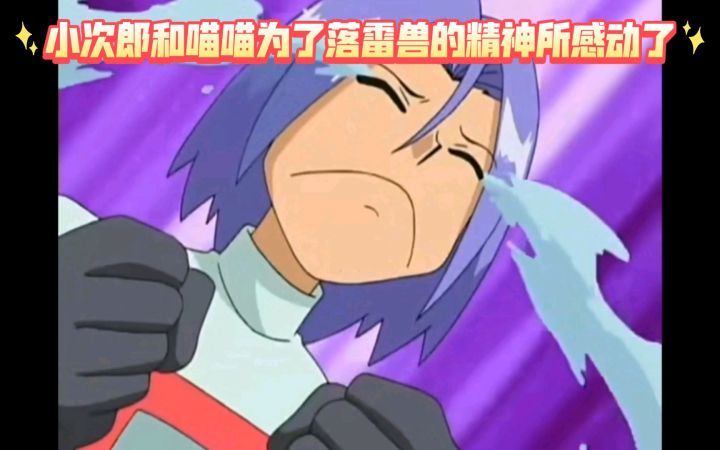 精灵宝可梦 小次郎和喵喵为了落雷兽的精神所感动了截图