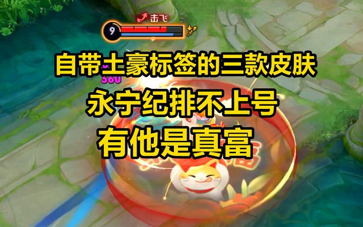 自带土豪标签的三款皮肤，永宁纪排不上号，有他是真富！截图