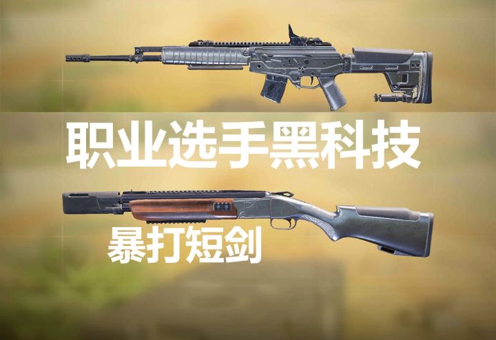 职业选手用来暴打短剑的黑科技，步枪终于有第二把站起来了截图