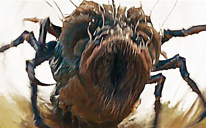 聚焦1200年前的精灵世界!Netflix奇幻美剧《猎魔人:血源》正式预告截图