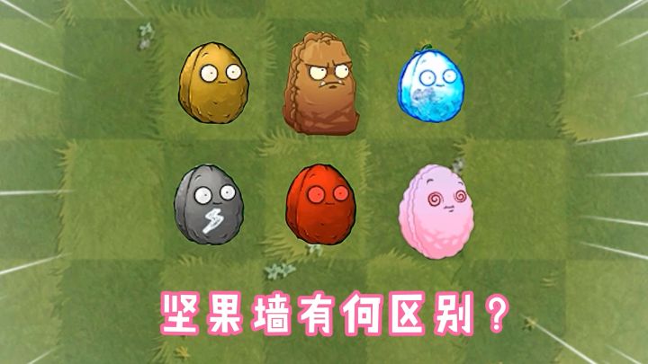 植物大战僵尸:同样是坚果墙,区别到底有多大?截图