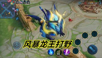 风暴龙王打野教程，没有任何位移，对线深渊王者镜有点吃力