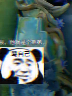 新年没节目?陌辰表演一个我骂我自己!#王者 #游戏日常截图