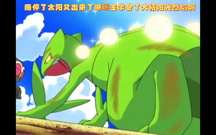 精灵宝可梦 雨停了太阳又出来了蜥蜴王学会了大招阳光烈焰啊截图