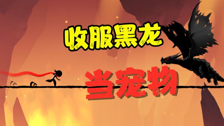 忍者必须死3：小黑成功收服黑龙当作宠物！原来都是考官的阴谋？截图