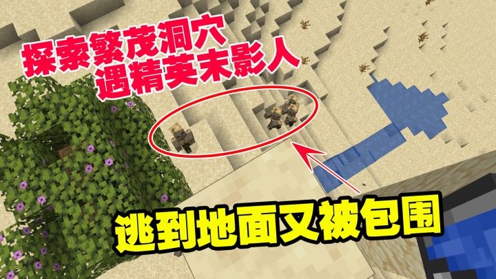 极限生存9:探索繁茂洞穴,遇精英末影人,逃到地面又被包围截图