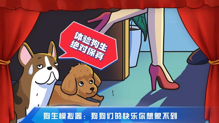 【狗生模拟器】成为狗狗的第一年,我做了这件事,结束了这平凡又短暂的一生#新游观察局#截图
