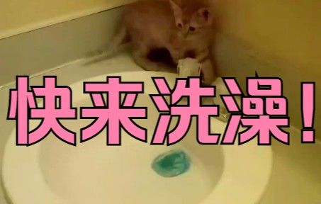如何让它爱上洗澡~截图