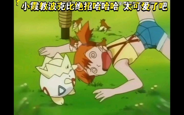 精灵宝可梦 小霞教波克比绝招哈哈哈 太可爱了吧截图