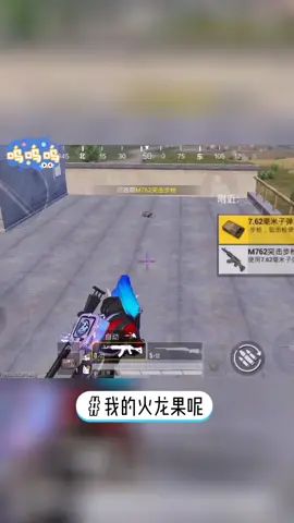 #我的火龙果呢 这是不是QJ行为！#和平精英截图