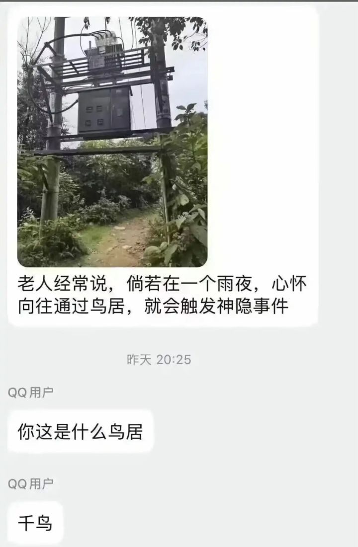 既然忍道也是道,那“千鸟”也是鸟了吧?丨图一乐截图