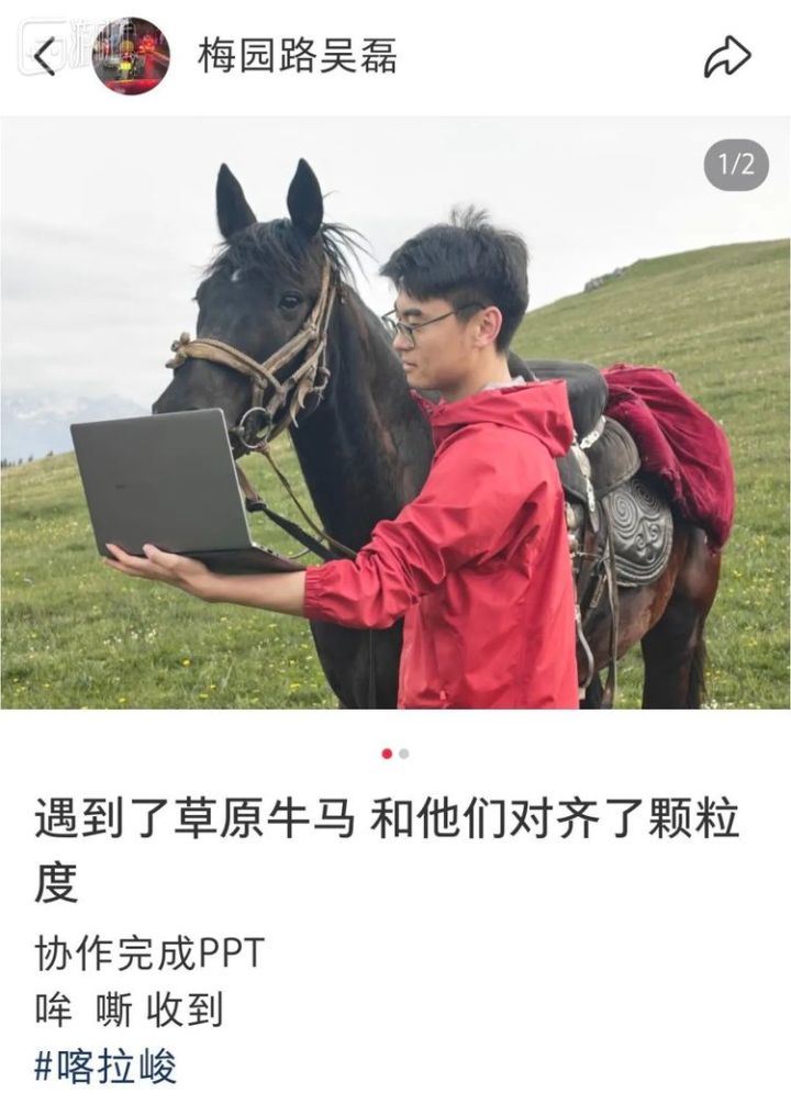 和“真牛马”对齐颗粒度,成了打工人最流行的摆拍截图