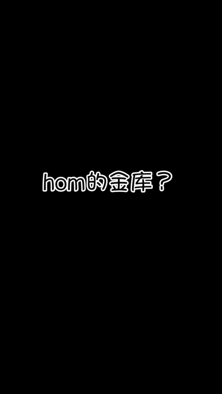 hom的小金库?截图