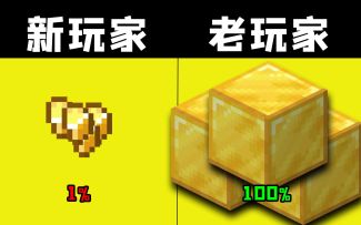 我的世界：你可能还会做错的，5个常见操作！