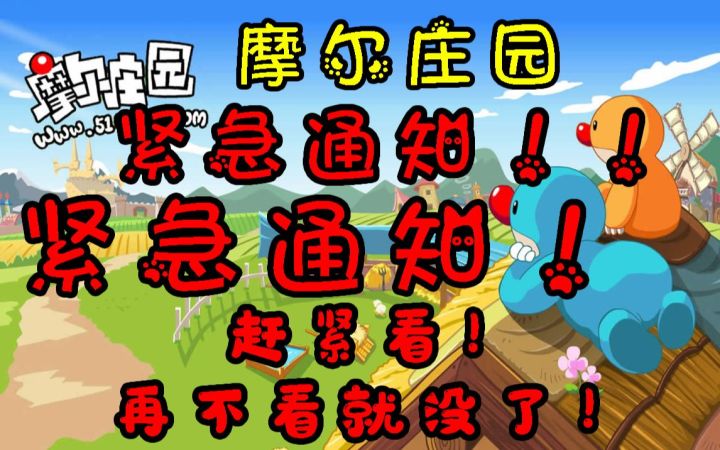 紧急通知!!摩尔庄园端午节最赚钱的菜就要被收回了!摩尔庄园攻略教学教程截图