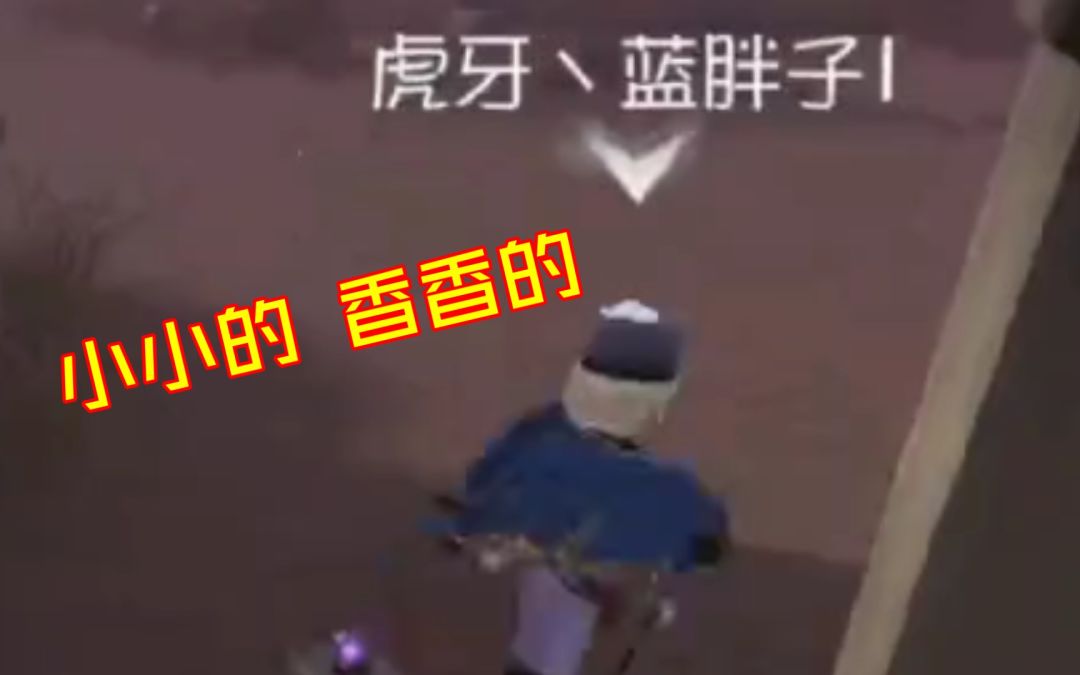 video-3083339